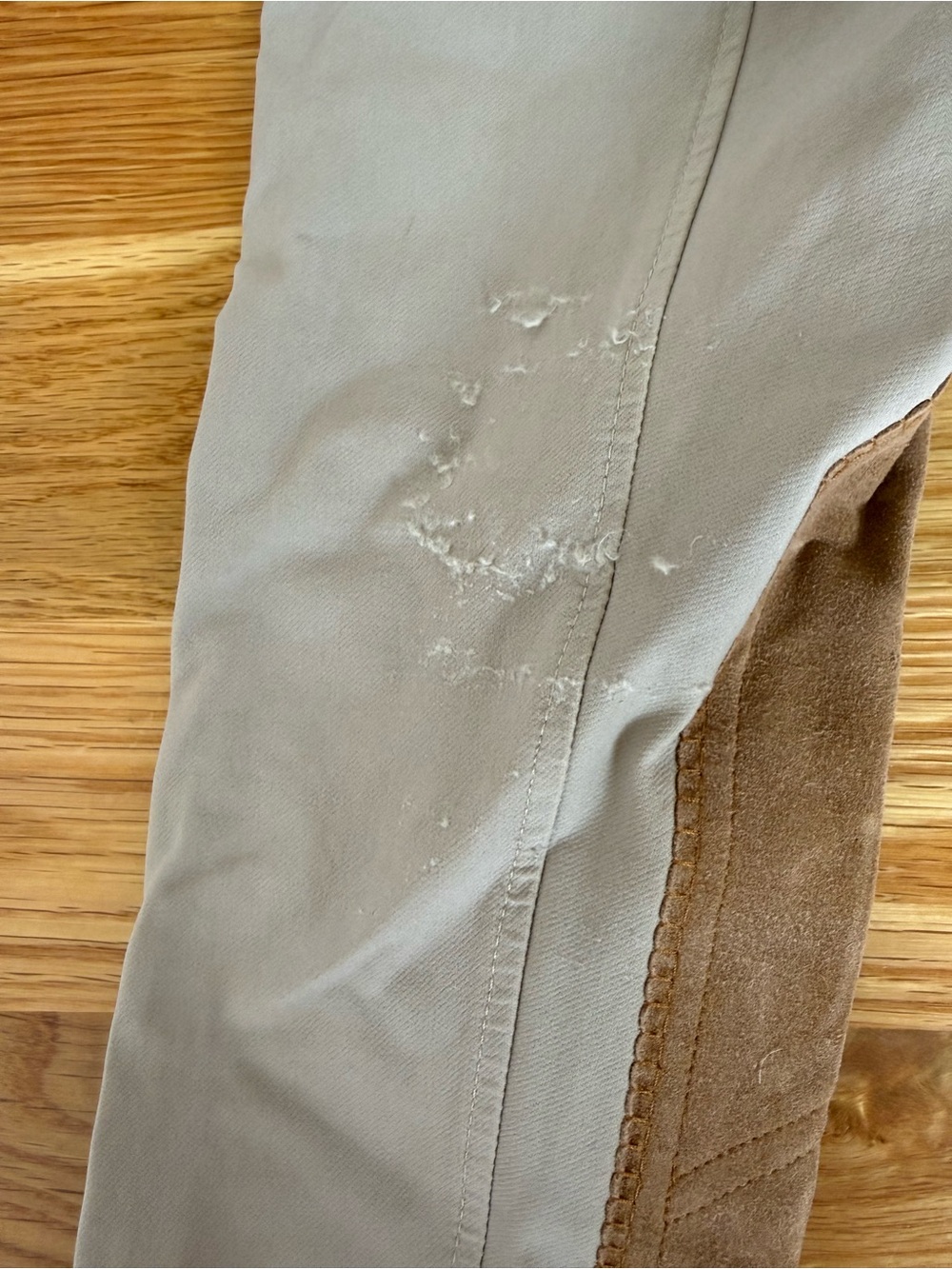 Equinavia  is girls riding jods size 12